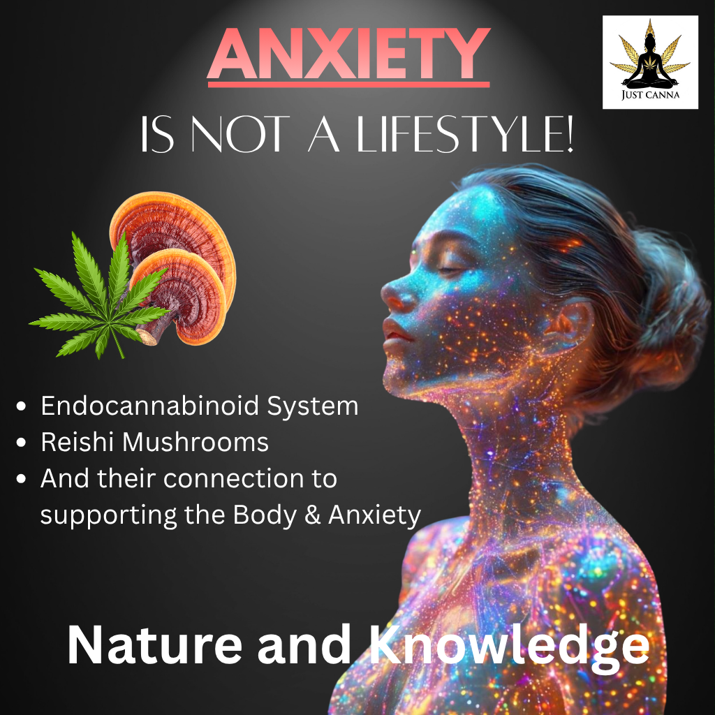 ANXIETY IS NOT A LIFESTYLE