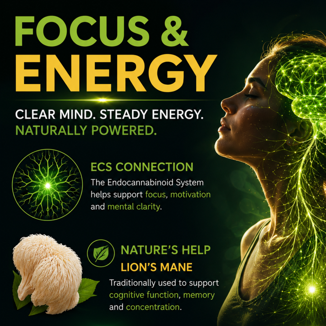 Focus and Energy: Your brain isn't designed to run on empty.