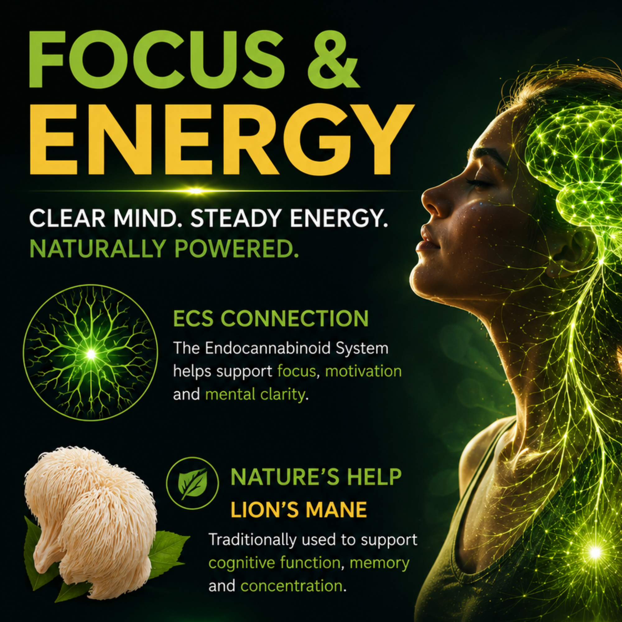 Focus and Energy: Your brain isn't designed to run on empty.