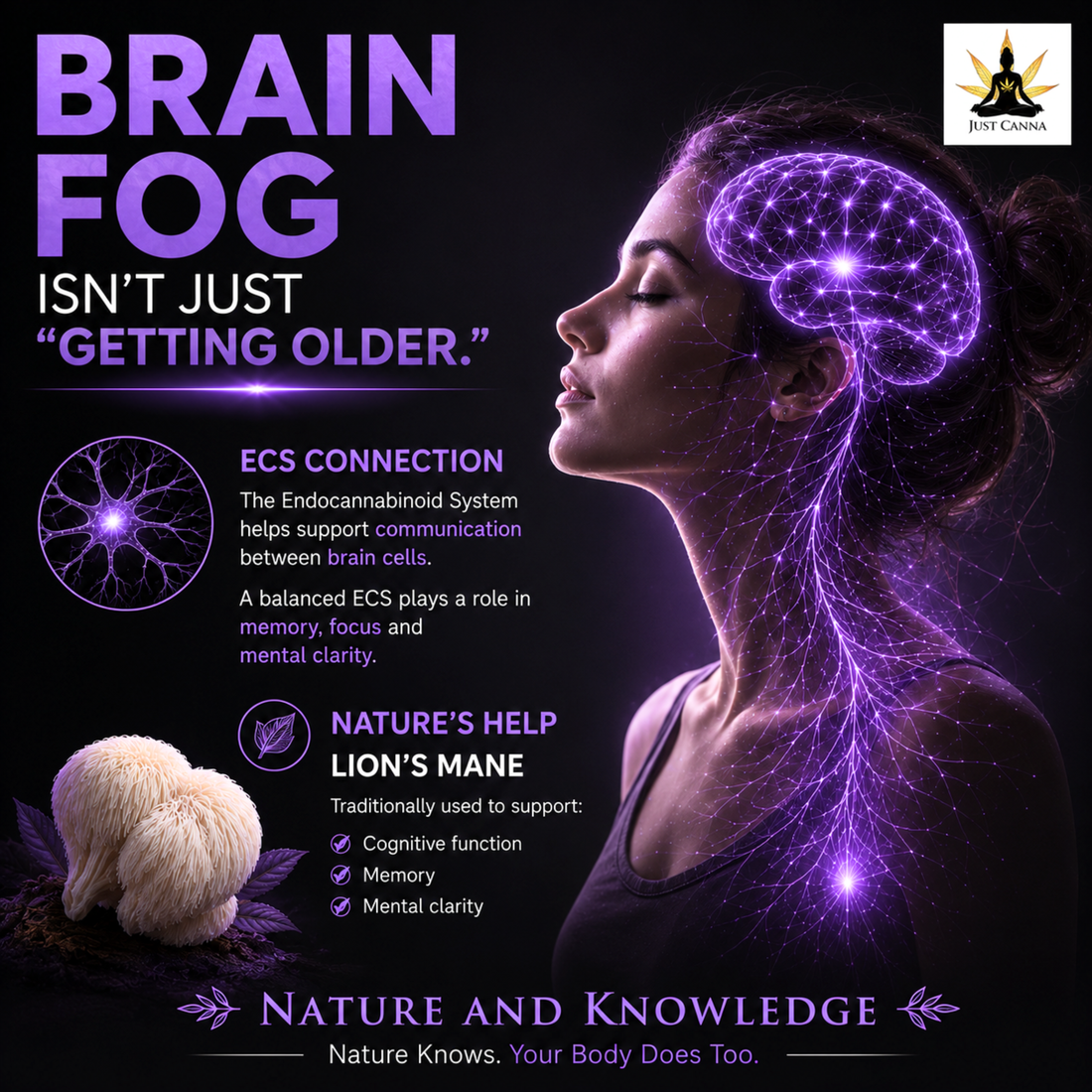 Understanding Brain Fog, Your Endocannabinoid System and How Nature May Help Support Mental Clarity
