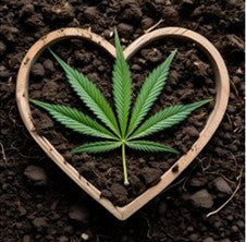Grow & Accessories