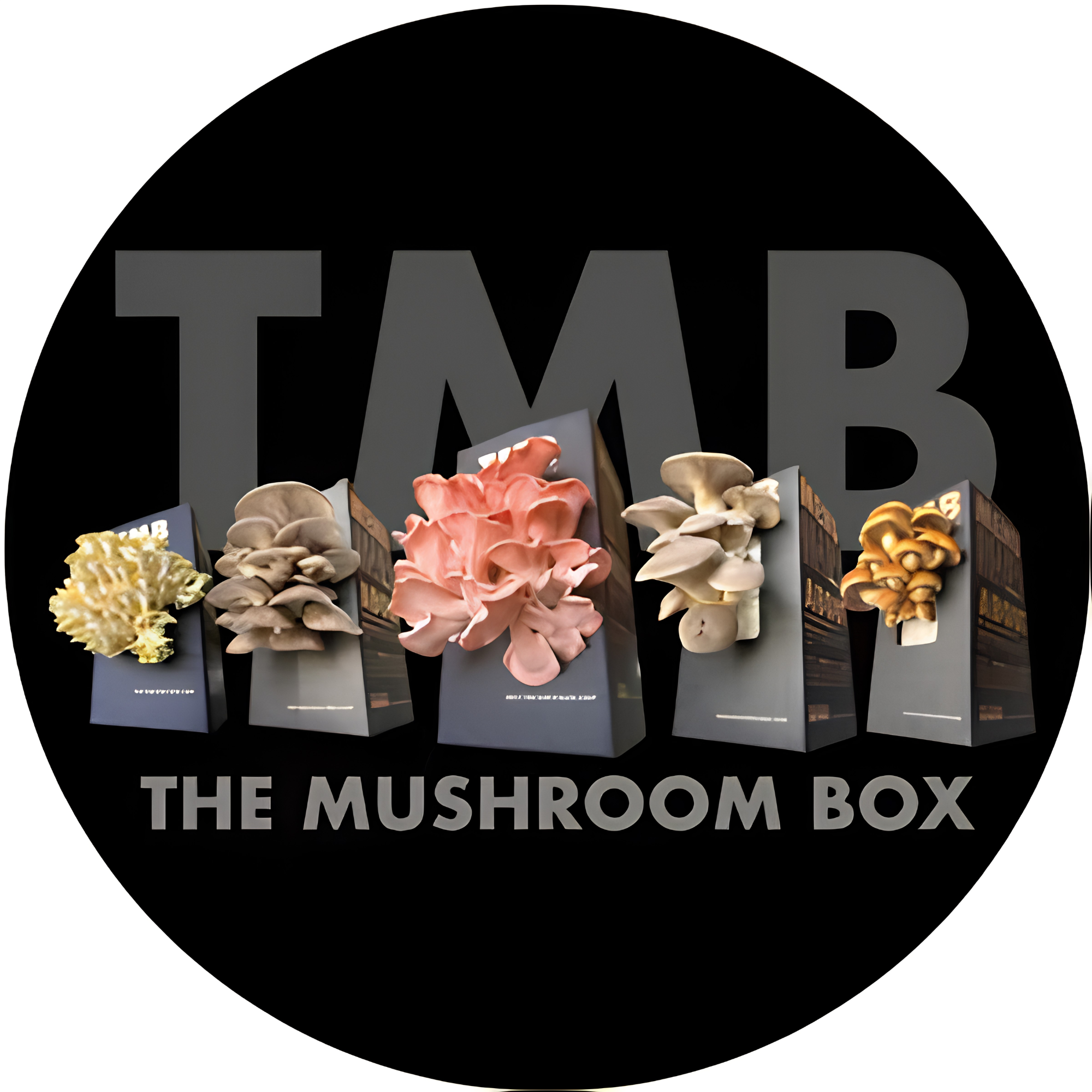 The Mushroom Box