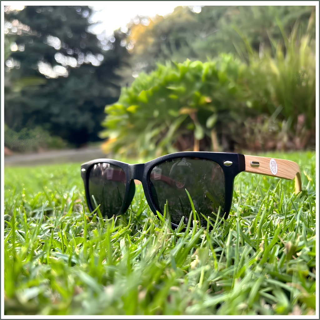 Bamboo-Framed Sunglasses in Cotton Bag