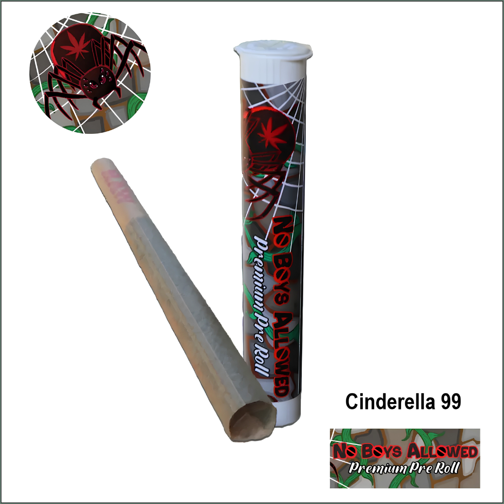 No Boys Allowed Premium Pre-Rolls - Kingsize - Greendoor - Cinderella 99 (Sativa)