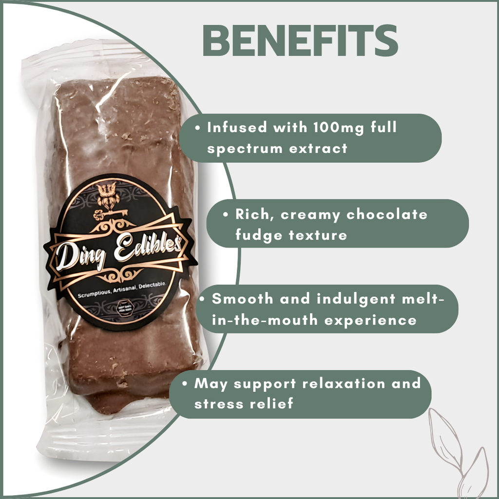 Chocolate Fudge Dream 100mg Full Spectrum