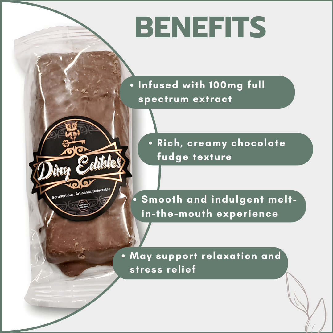 Chocolate Fudge Dream 100mg Full Spectrum