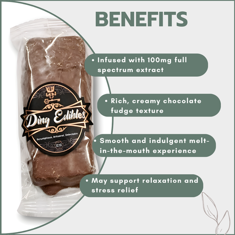 Chocolate Fudge Dream 100mg Full Spectrum