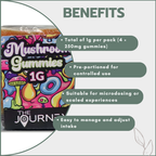 Magic Mushroom Gummies - Golden Teacher 1g (4x250mg)