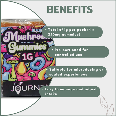 Magic Mushroom Gummies - Golden Teacher 1g (4x250mg)