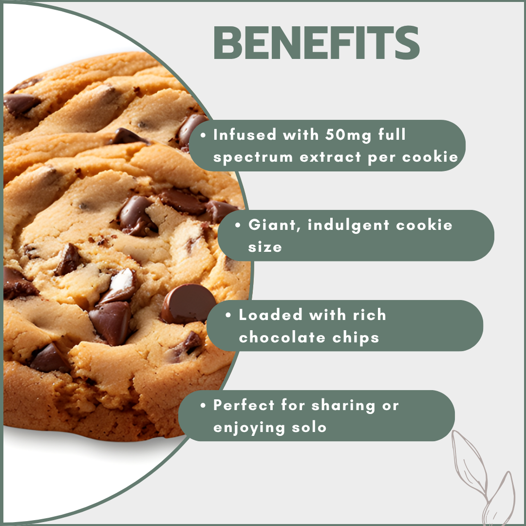 Giant Choc Chip Cookies – 50mg Full Spectrum (12 Packs)
