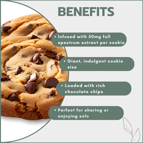 Giant Choc Chip Cookies – 50mg Full Spectrum (12 Packs)
