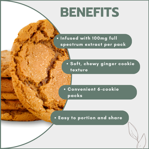 Ginger Cookies 6's - 100mg Full Spectrum (6 Packs)