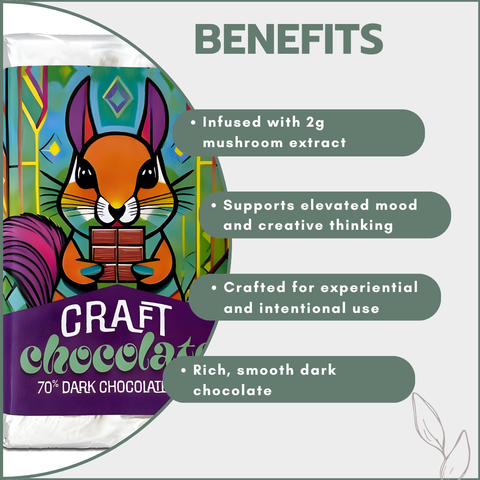 Trippy Nootropic Craft Chocolate Bar 35g - Dark Chocolate