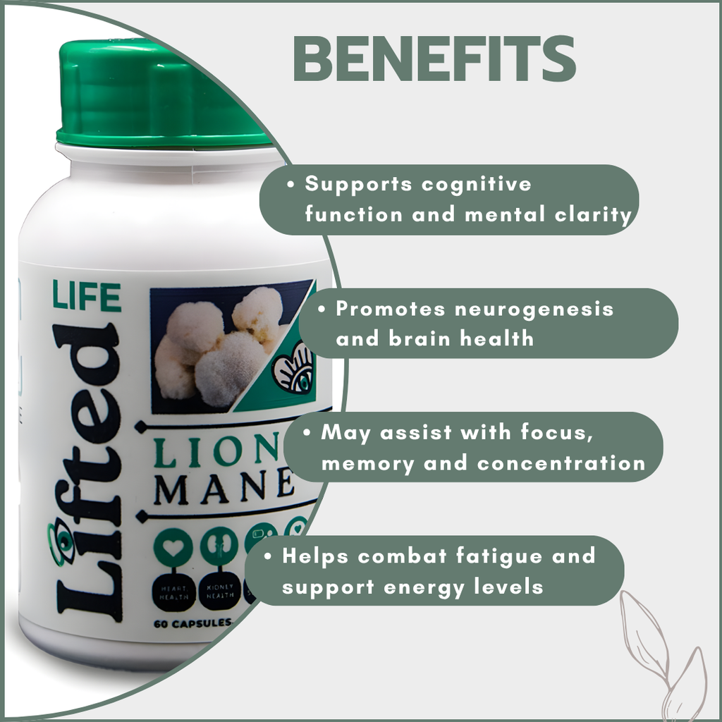 Lion's Mane 500mg 60's