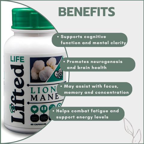 Lion's Mane 500mg 60's
