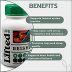 Reishi 500mg 60's