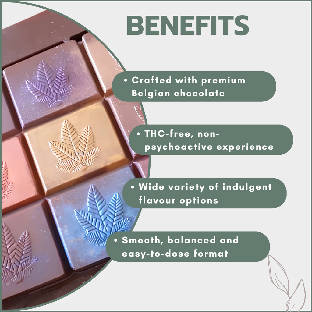 CBD Chocolate Slabs 240mg (Multiple Flavours)