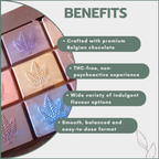 CBD Chocolate Slabs 240mg (Multiple Flavours)