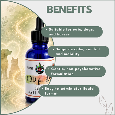 CBD Oil for Pets 30ml