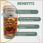 Chocolate-Coated Fudge Bites 600mg (30x20mg)