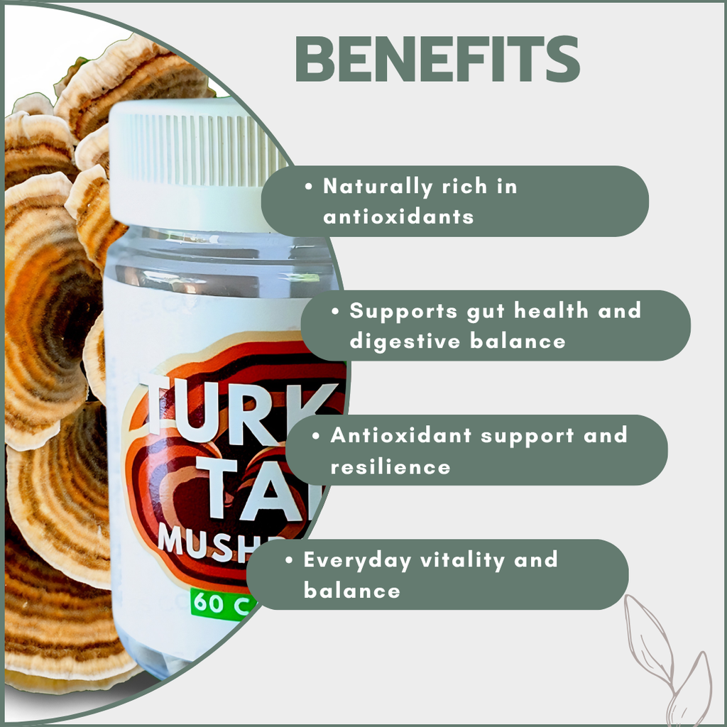 YesYes Health - Turkey Tail Mushroom 60's