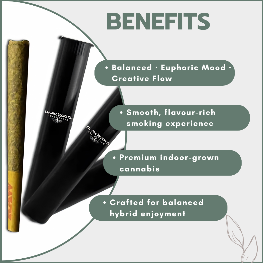 Primo Premium Kingsize Pre-Rolls 1g - Indoor - Blockberry (Hybrid)