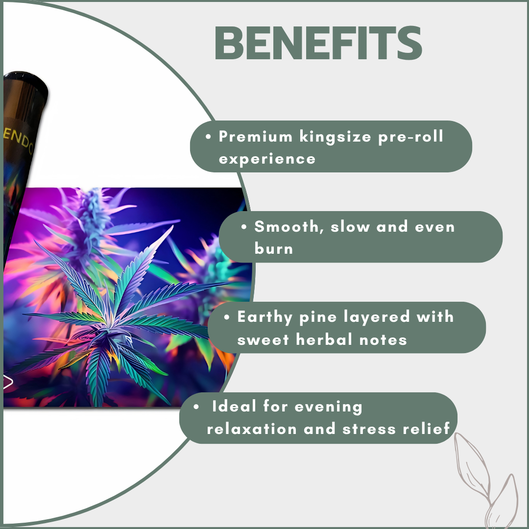 Premium Greendoor Kingsize Pre-Rolls - Northern Lights