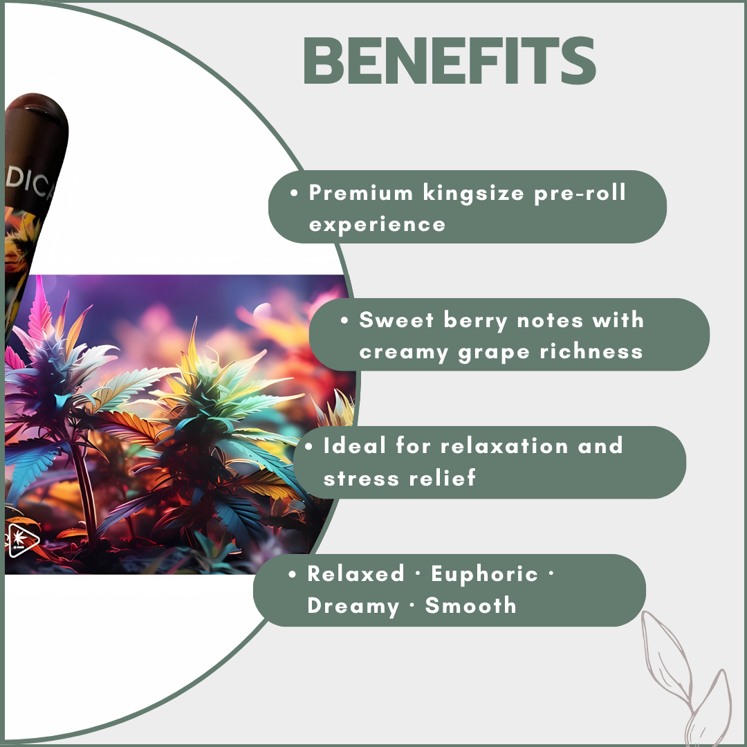 Premium Kingsize Pre-Rolls - Slurricane - Indica