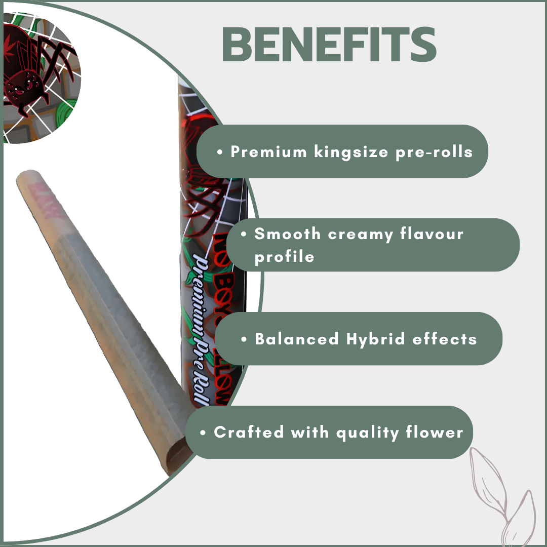 No Boys Allowed Premium Pre-Rolls - Kingsize - Greendoor - Cereal Milk (Hybrid)