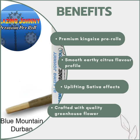 Blazing Johnny Premium Pre-Rolls - Kingsize - Blue Mountain Durban (Sativa)
