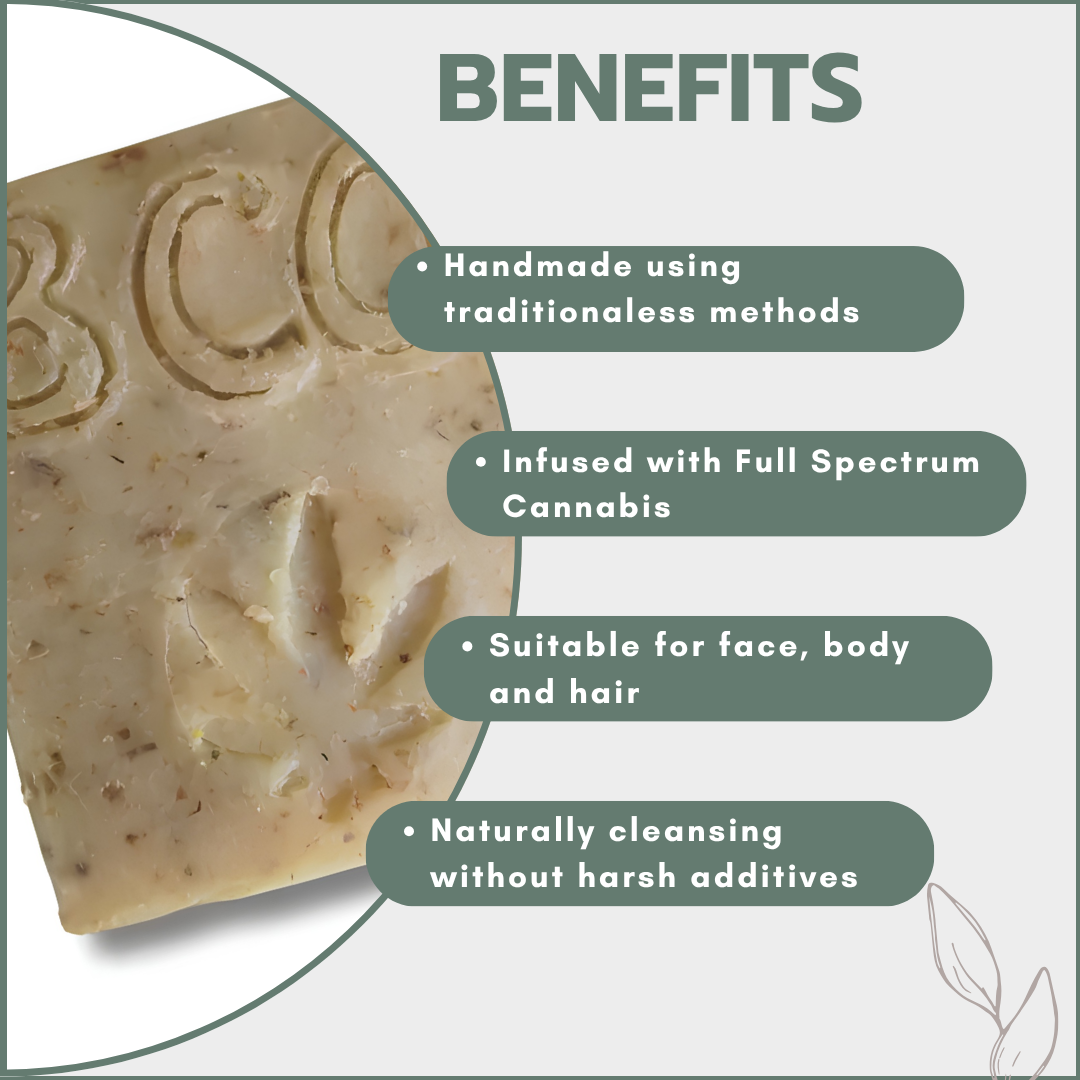 Wild Relief Cannabis Suds Soap Bar - Skin & Scalp Relief