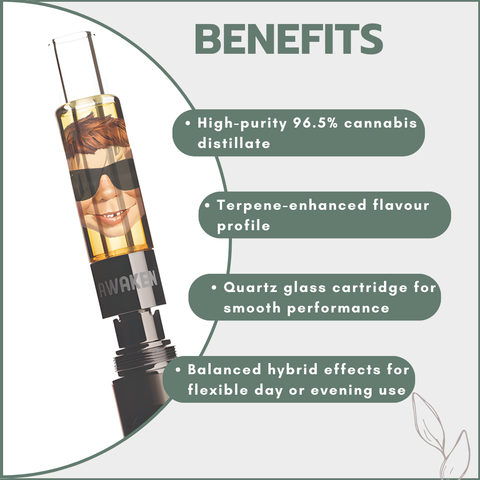 Awaken® Vape Blaster Cartridges 1ml - Sundae Driver #2 (Hybrid)