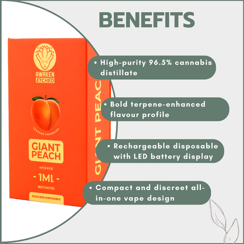 Awaken® Etched Disposable Vape 1ml - Giant Peach (Hybrid)