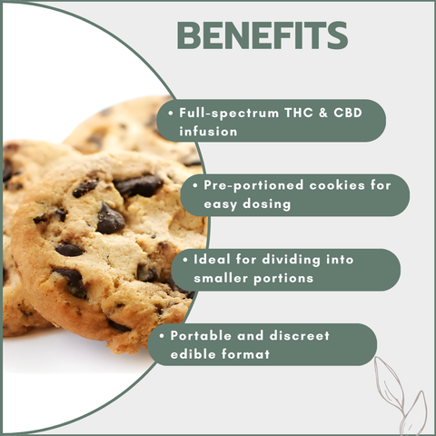 Choc-Chip Cannabis Space Cookies 500mg (10x50mg)