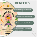 Cannalicious Cookies Choc Chip 100mg (5x20mg)