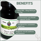 1:1 FECO & CBD Capsules 31's