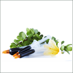 CBD Plus FECO Syringes