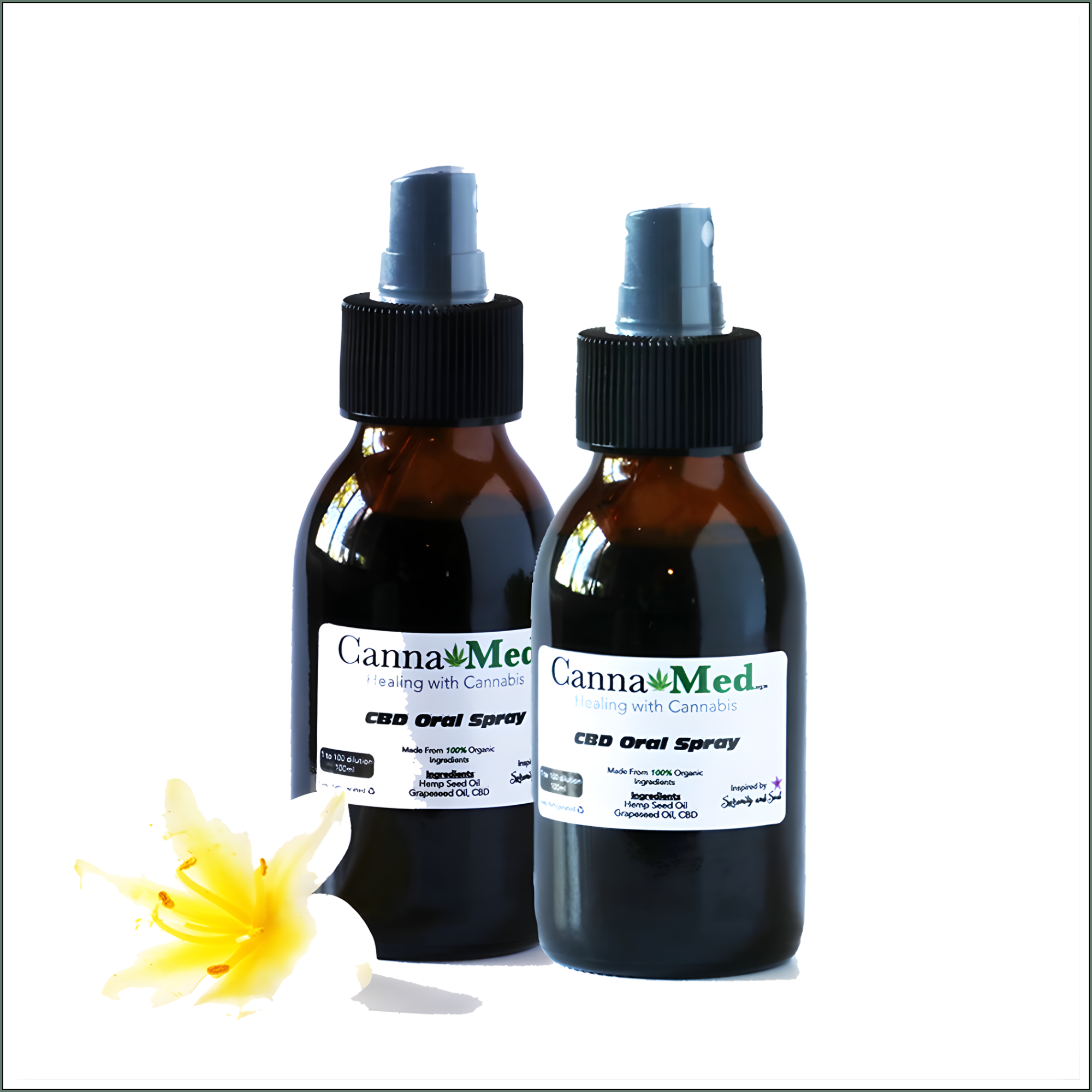 CBD Oral Spray 100ml