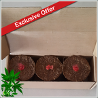 Seeded Canna Pods 3's (Box of 3 Assorted Strains)