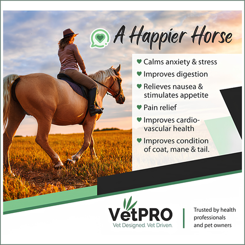 VetPro Equine CBD Cannabis Powder