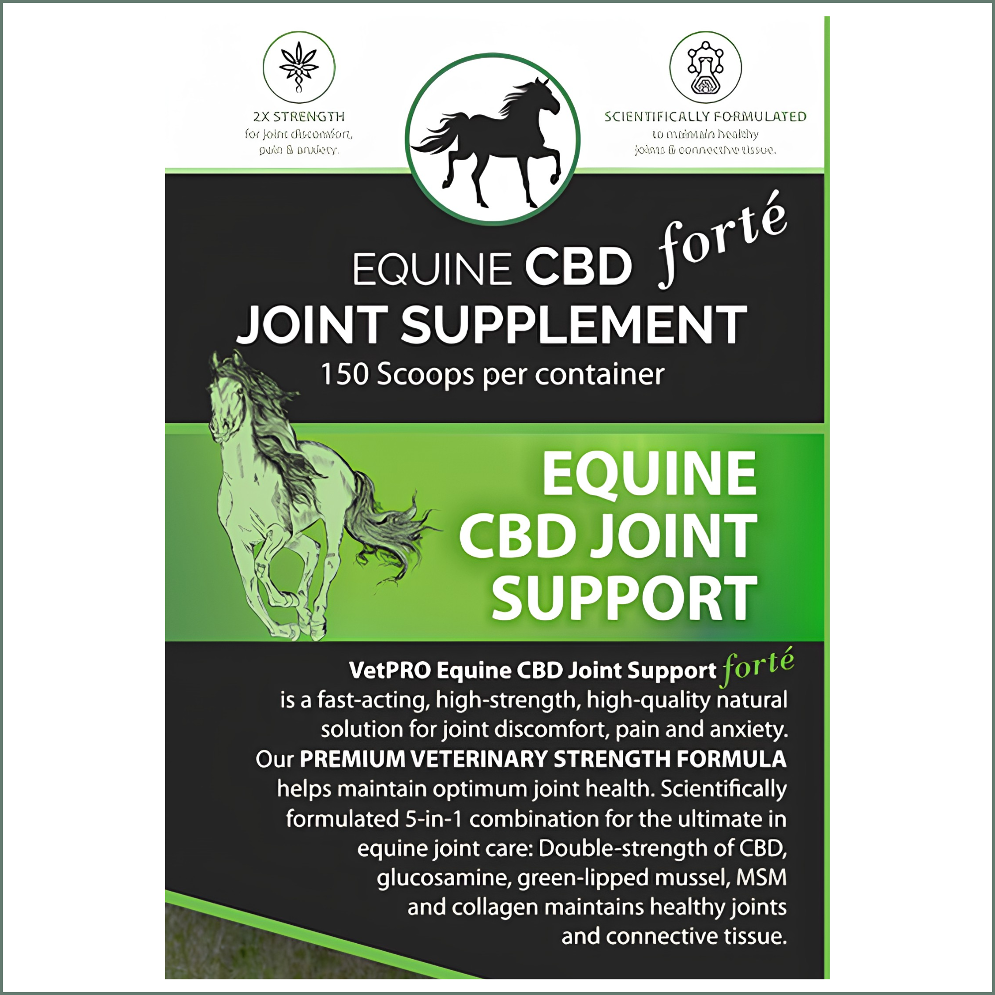VetPro Equine CBD Joint Support FORTE